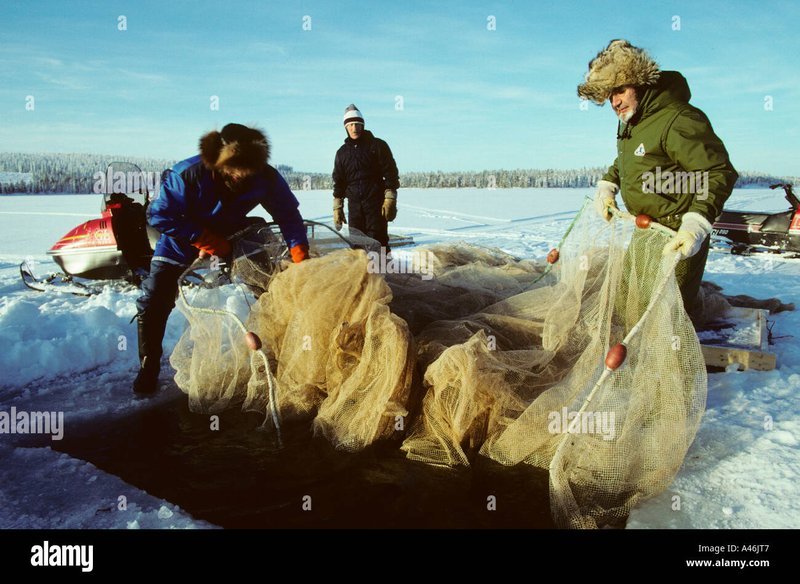 Meistern Sie den Eisklatsch - Erfahrungen mit Eiskochen Online-Spielen